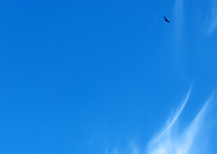 Crevant - 2004 © Daniel Schipper