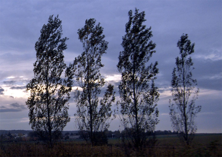 A12 - 2004 © Daniel Schipper