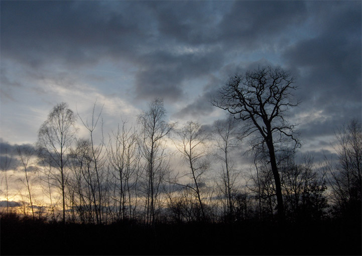 Saint-Germain-en-Laye - 2005 © Daniel Schipper