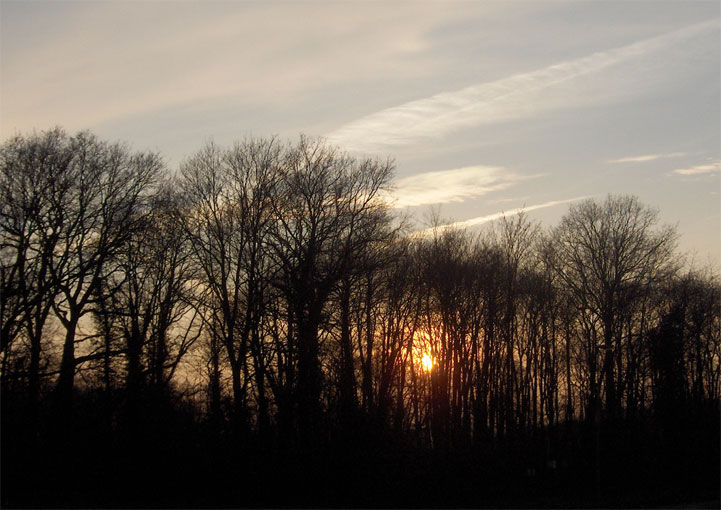 A12 - 2005 © Daniel Schipper