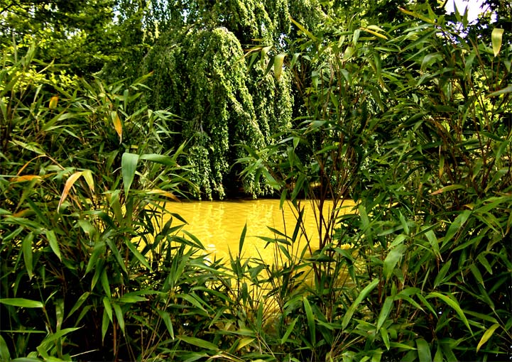 Paris - Bois de Boulogne - 2005 © Daniel Schipper