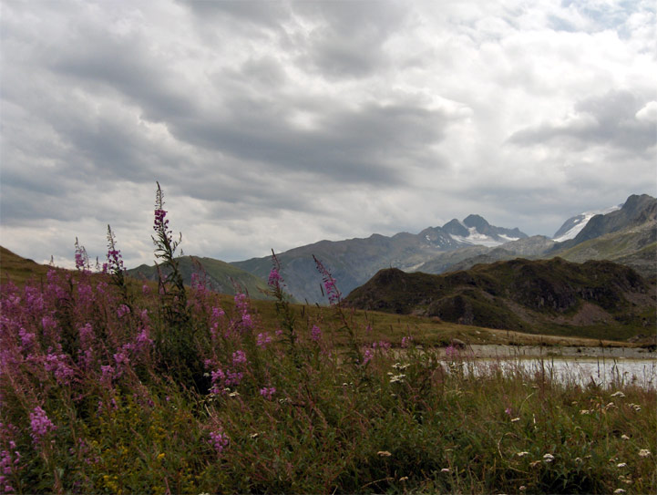 Col de la Croix de Fer - Savoie - 2005 © Daniel Schipper
