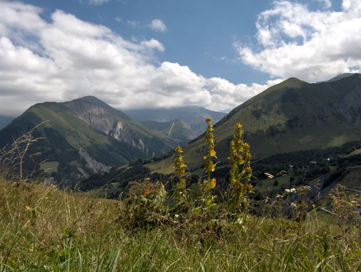 14 septembre - Dans les vents, L'ombre des nuages traîne ! - Saint-Jean-d'Arves - Savoie - 2005 © Daniel Schipper
