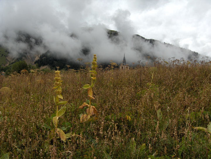 19 septembre - Le temps se couvre ... Il est temps de rentrer ! - Saint-Jean-d'Arves - Savoie - 2005 © Daniel Schipper