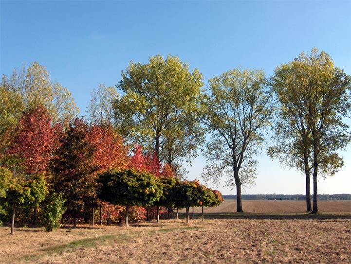 Voisins-le-Bretonneux - 2005 © Daniel Schipper