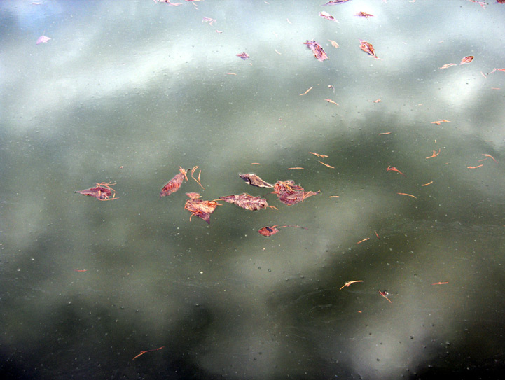 Chartrettes - Ile-de-France - 2006 © Daniel Schipper