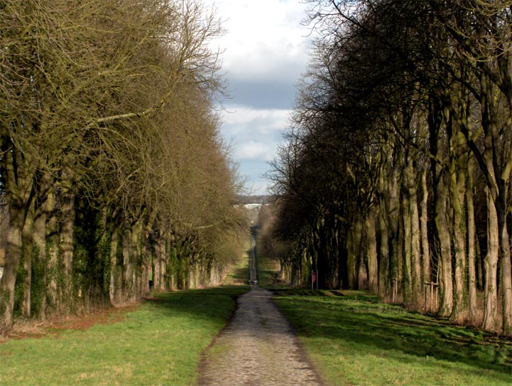 Versailles - Ile-de-France - 2006 © Daniel Schipper