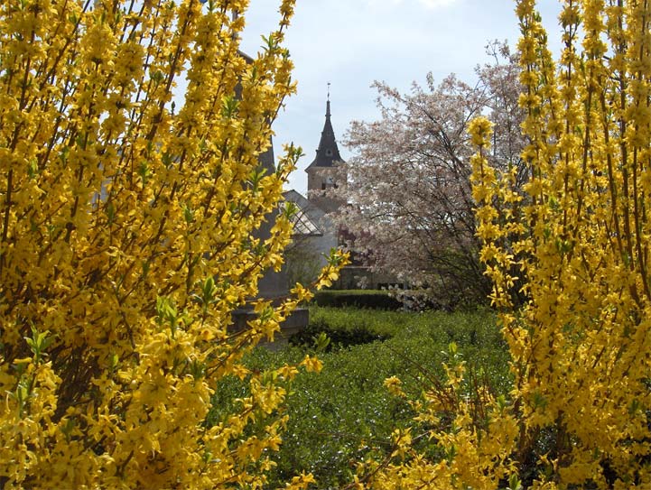 Yvelines - Voisins-le-Bretonneux - 2006 © Daniel Schipper
