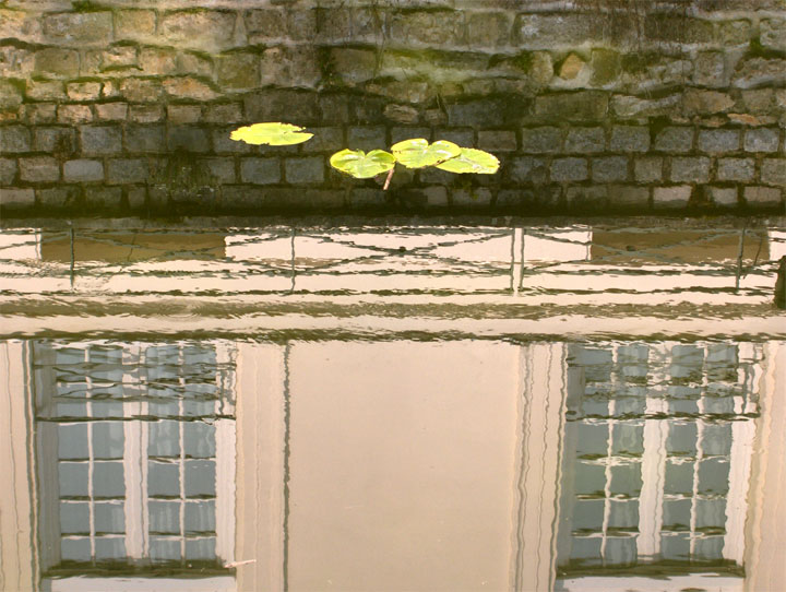Chartrettes - Seine et Marne - 2006 © Daniel Schipper