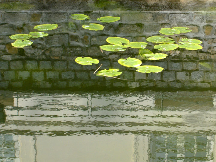Chartrettes - Seine et Marne - 2006 © Daniel Schipper