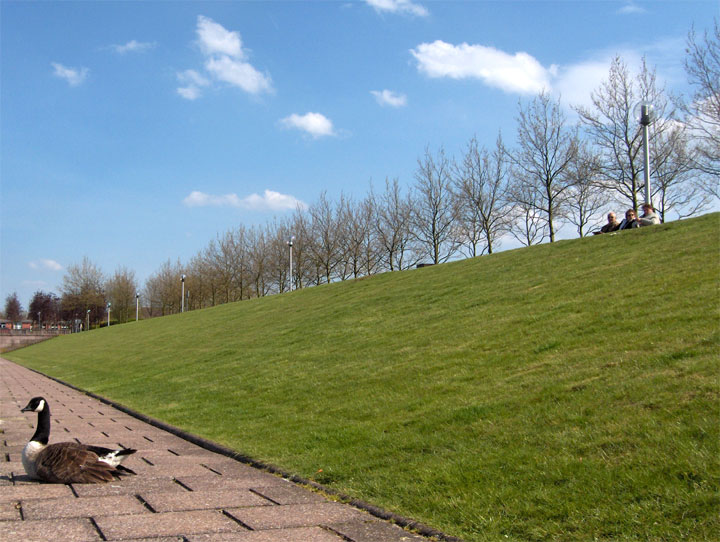 Voisins-le-Bretonneux - Yvelines - 2006 © Daniel Schipper