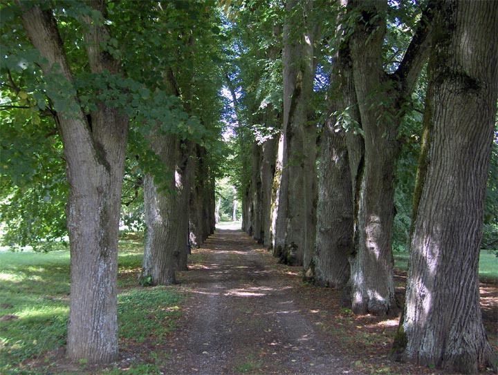 Chartrettes - Seine-et-Marne - Ile de France - 2006 © Daniel Schipper
