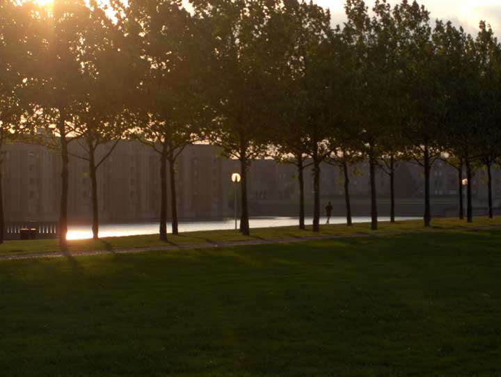 Voisins-le-Bretonneux - Yvelines - 2006 © Daniel Schipper