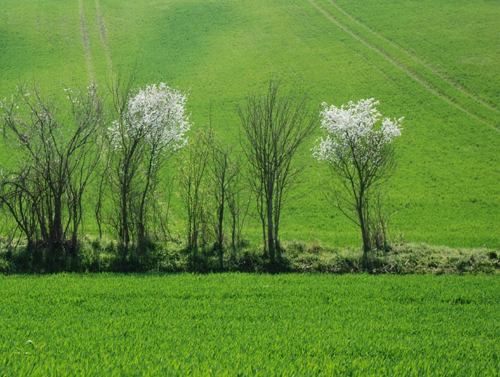 Ceton - Le Perche - 2007 © Daniel Schipper