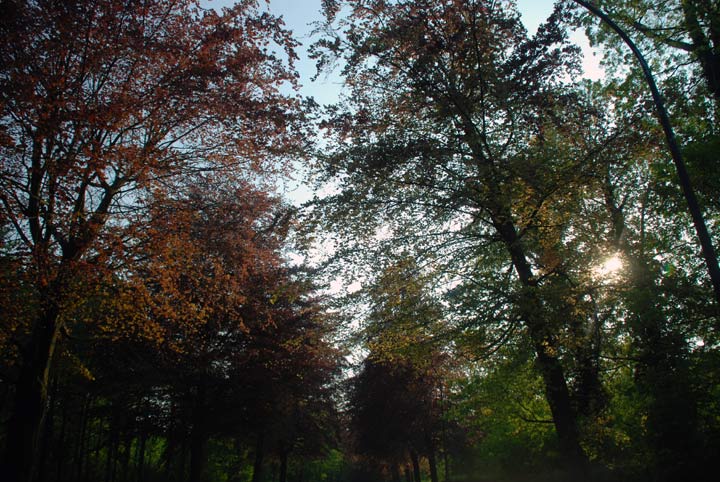 Versailles - Yvelines - Ile-de-France - 2007 © Daniel Schipper