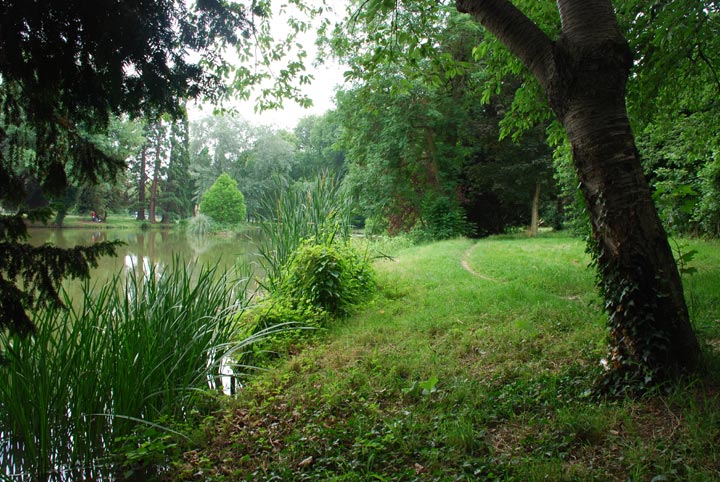 Bois de Boulogne - Paris - Ile-de-France - 2007 © Daniel Schipper