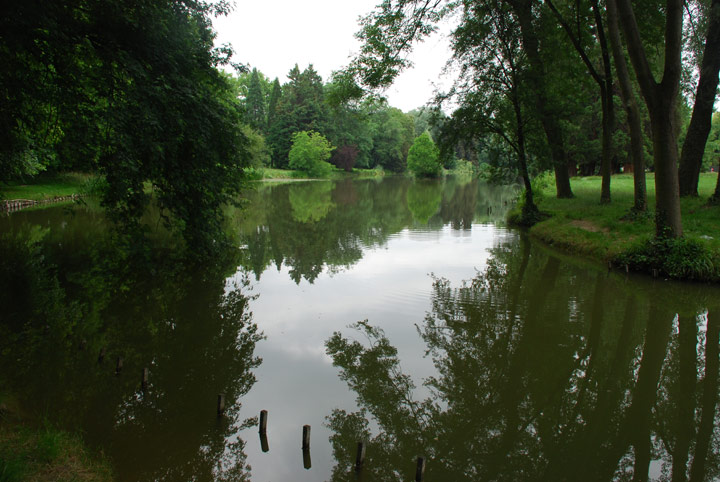 Bois de Boulogne - Paris - Ile-de-France - 2007 © Daniel Schipper
