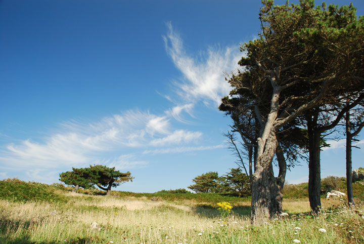 Côte Sauvage - Côtes-d´Armor - Bretagne - 2007 © Daniel Schipper