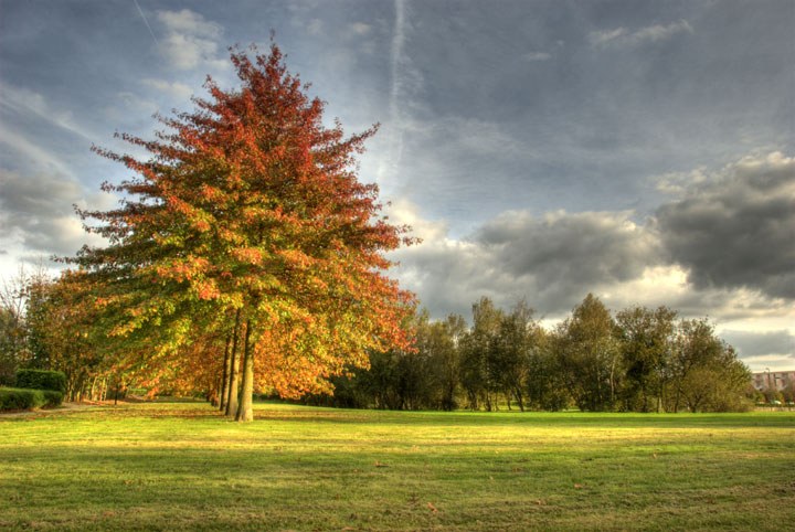 Voisins-le-Bretonneux - Yvelines - Ile-de-France - 2007 © Daniel Schipper