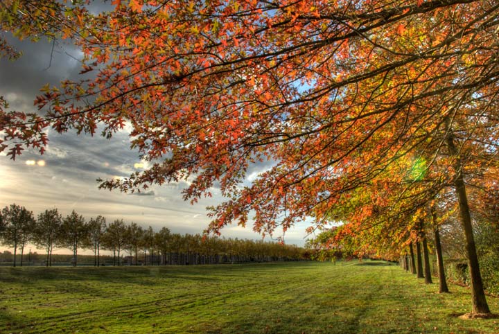 Voisins-le-Bretonneux - Yvelines - Ile-de-France - 2007 © Daniel Schipper