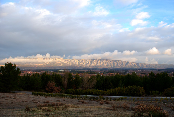 Domaine de Longarel - Trets - Bouches-du-Rhône - 2008 © Daniel Schipper