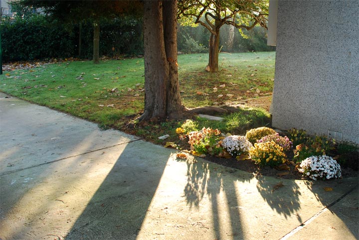 Sceaux - Hauts-de-Seine - Ile-de-France - 2008 © Daniel Schipper