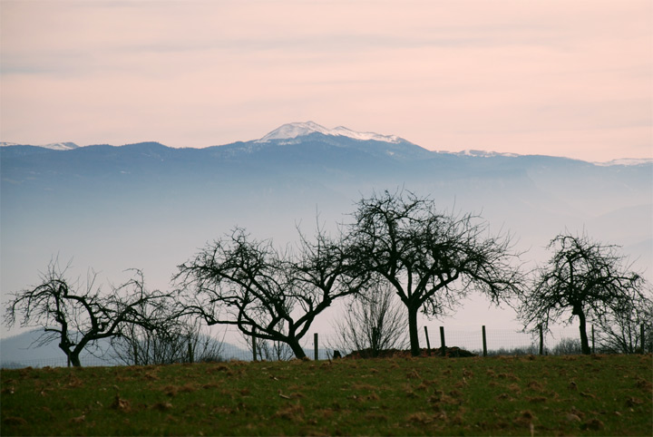 Dionay - Isère - Dauphiné - 2008 © Daniel Schipper