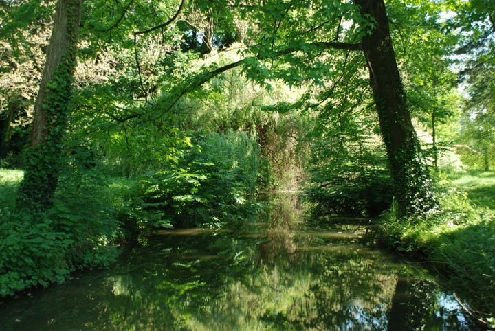Bois de Boulogne - Paris - Ile de France - 2008 © Daniel Schipper
