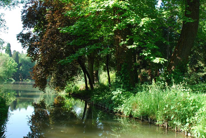 Bois de Boulogne - Paris - Ile de France - 2008 © Daniel Schipper
