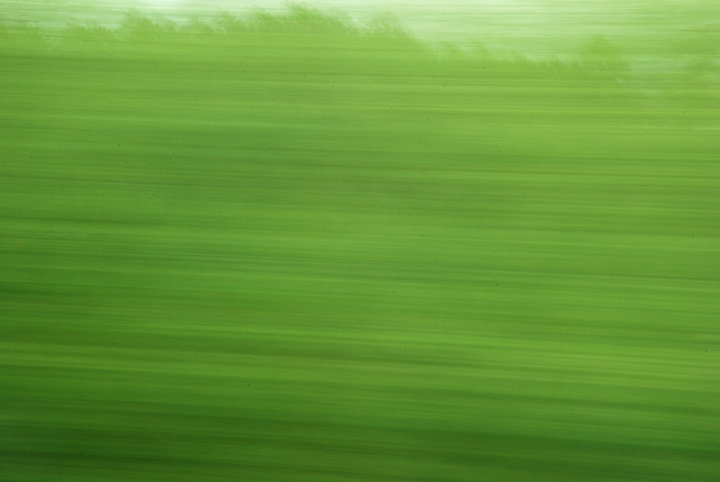 A11 - Ille et Villaine - Bretagne - 2008 © Daniel Schipper