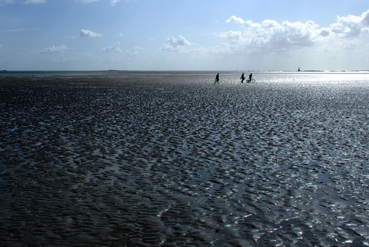 La Baule - Loire Atlantique - Pays de la Loire - 2008 © Daniel Schipper