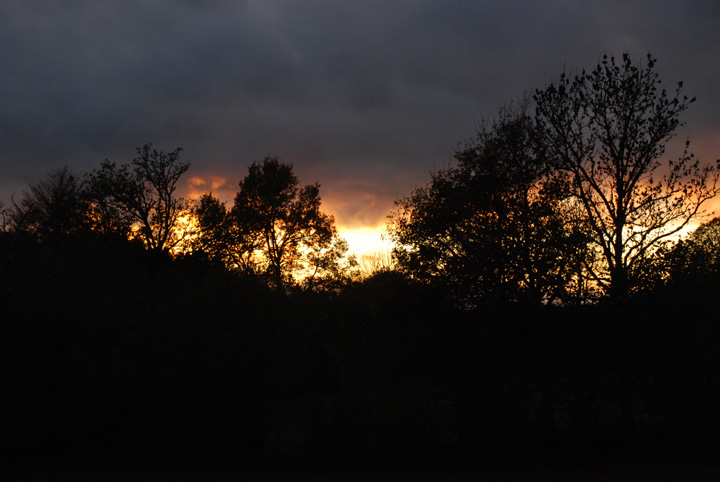 La Villetelle - Creuse - Limousin - 2008 © Daniel Schipper