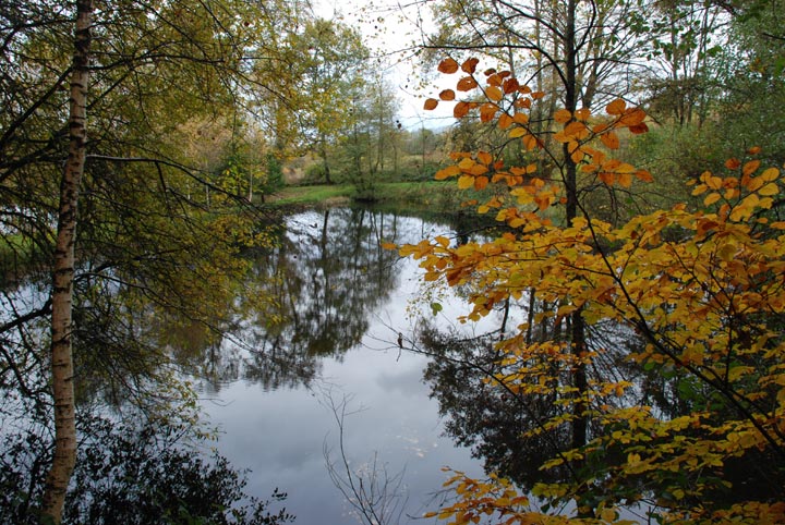 La Villetelle - Creuse - Limousin - 2008 © Daniel Schipper
