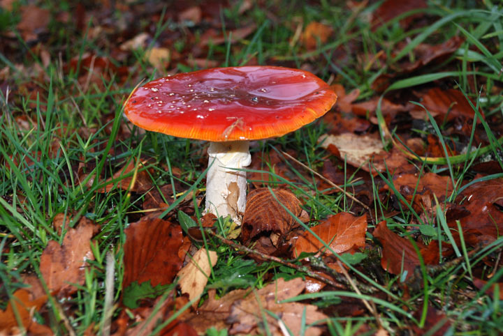 La Villetelle - Creuse - Limousin - 2008 © Daniel Schipper