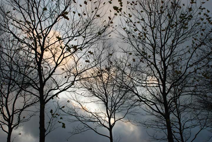 Voisins-le-Bretonneux - Yvelines - Ile-de-France - 2008 © Daniel Schipper