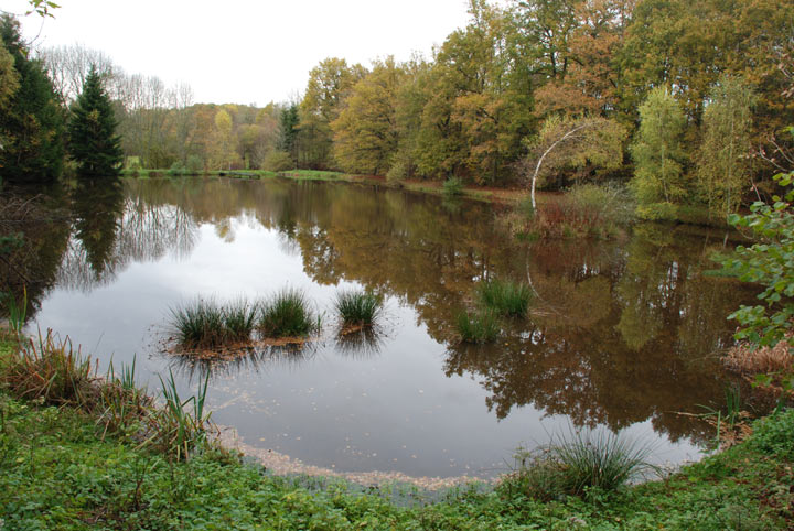 La Villetelle - Creuse - Limousin - 2008 © Daniel Schipper