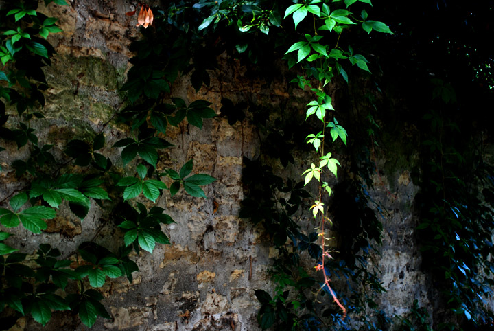 Sceaux - Hauts-de-Seine - Ile-de-France - 2009 © Daniel Schipper