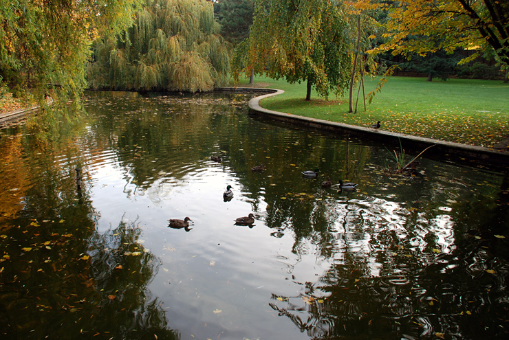 Suresnes – Hauts-de-Seine - 2011 © Daniel Schipper