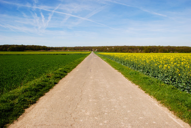 Magny-les-Hameaux – Yvelines – Ile-de-France - 2011 © Daniel Schipper