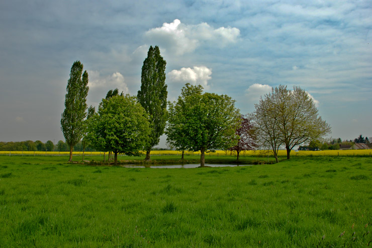 Magny-les-Hameaux – Yvelines – Ile de France - 2011 © Daniel Schipper