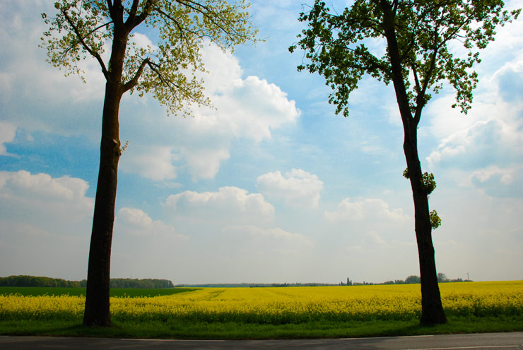 Magny-les-Hameaux – Yvelines – Ile de France - 2011 © Daniel Schipper