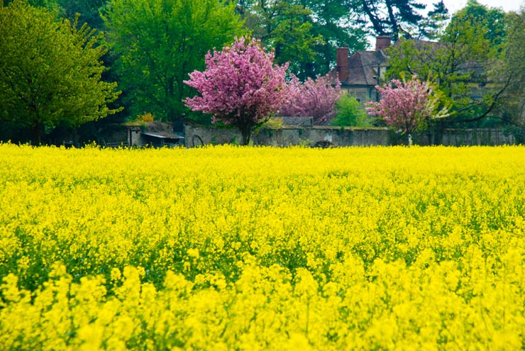 Magny-les-Hameaux – Yvelines – Ile de France - 2011 © Daniel Schipper