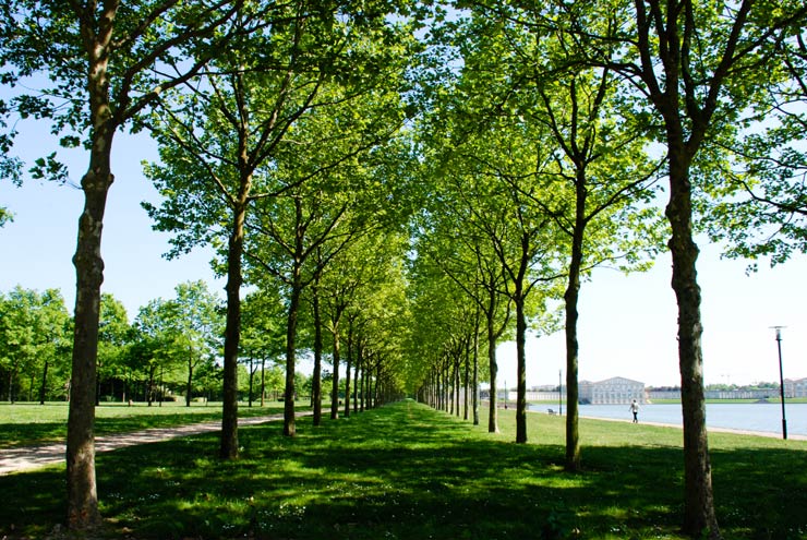 Voisins-le-Bretonneux - Yvelines - Ile-de-France - 2011 © Daniel Schipper