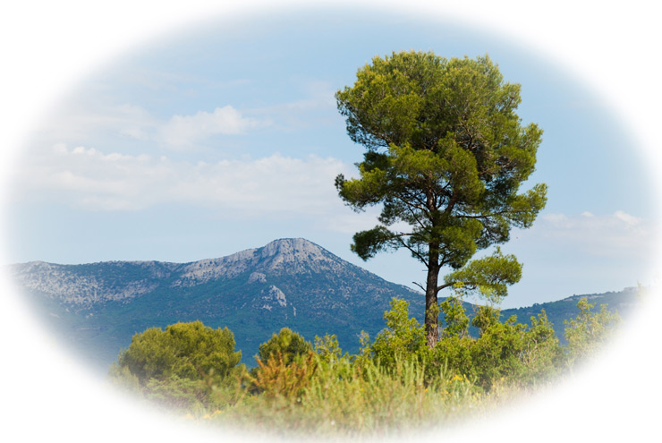 Trets-en-Provence – Bouches-du-Rhône - Provence-Alpes-Côtes-d’Azur - 2011 © Daniel Schipper